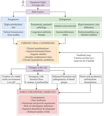 The Association Between Chronic Oral Candidiasis and Early Childhood Caries: Results of a Clinical-Laboratory Study