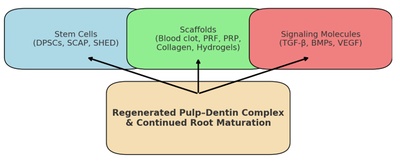 Recent Advancements in Regenerative Endodontics: A Narrative Review