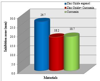 Antimicrobial Efficacy of Curcumin Modified Zinc Oxide Eugenol Against Endodontic Pathogens