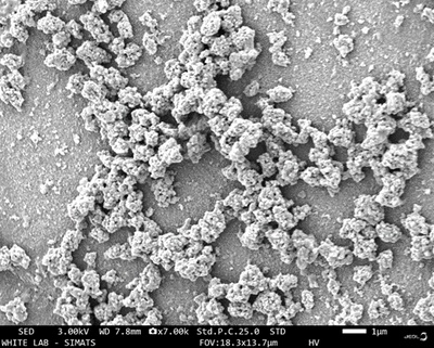 Apigenin-Functionalized Zinc Oxide Nanoparticles for Oral Disease Management: an in Vitro Assessment