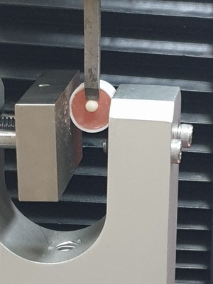 Shear Bond Strength Between Lithium Disilicate and Zirconia Core After Addition of Nanoparticles: A Comparative Study