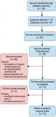 Functional Roles of Virulence Genes in Adhesion, Biofilm Formation, and Immune Evasion of Enterococcus Faecalis