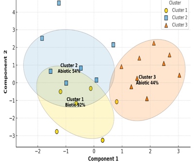 Chromosomal and Plasmid-Associated Gene Profiles of Enterococcus Faecalis: Adaptive Patterns Across Endodontic Environments